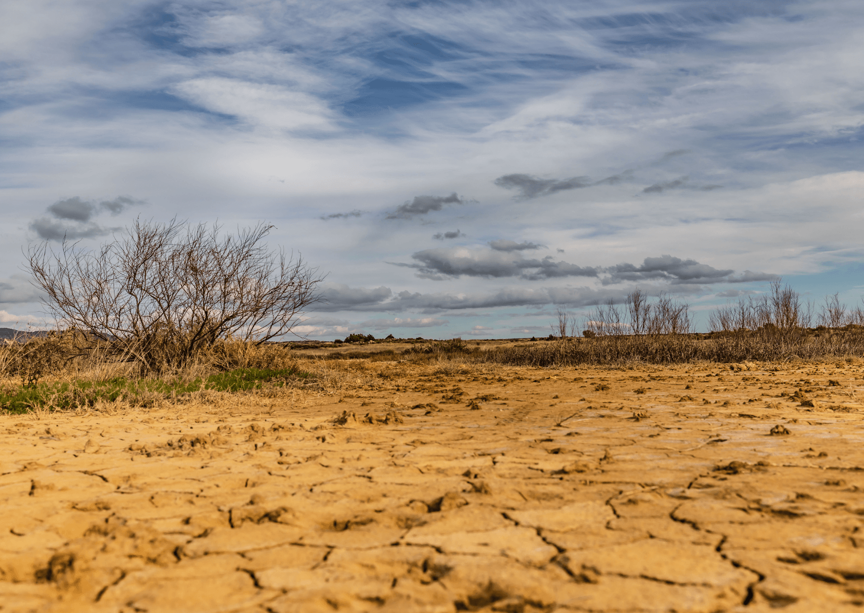 Drought & Water Scarcity