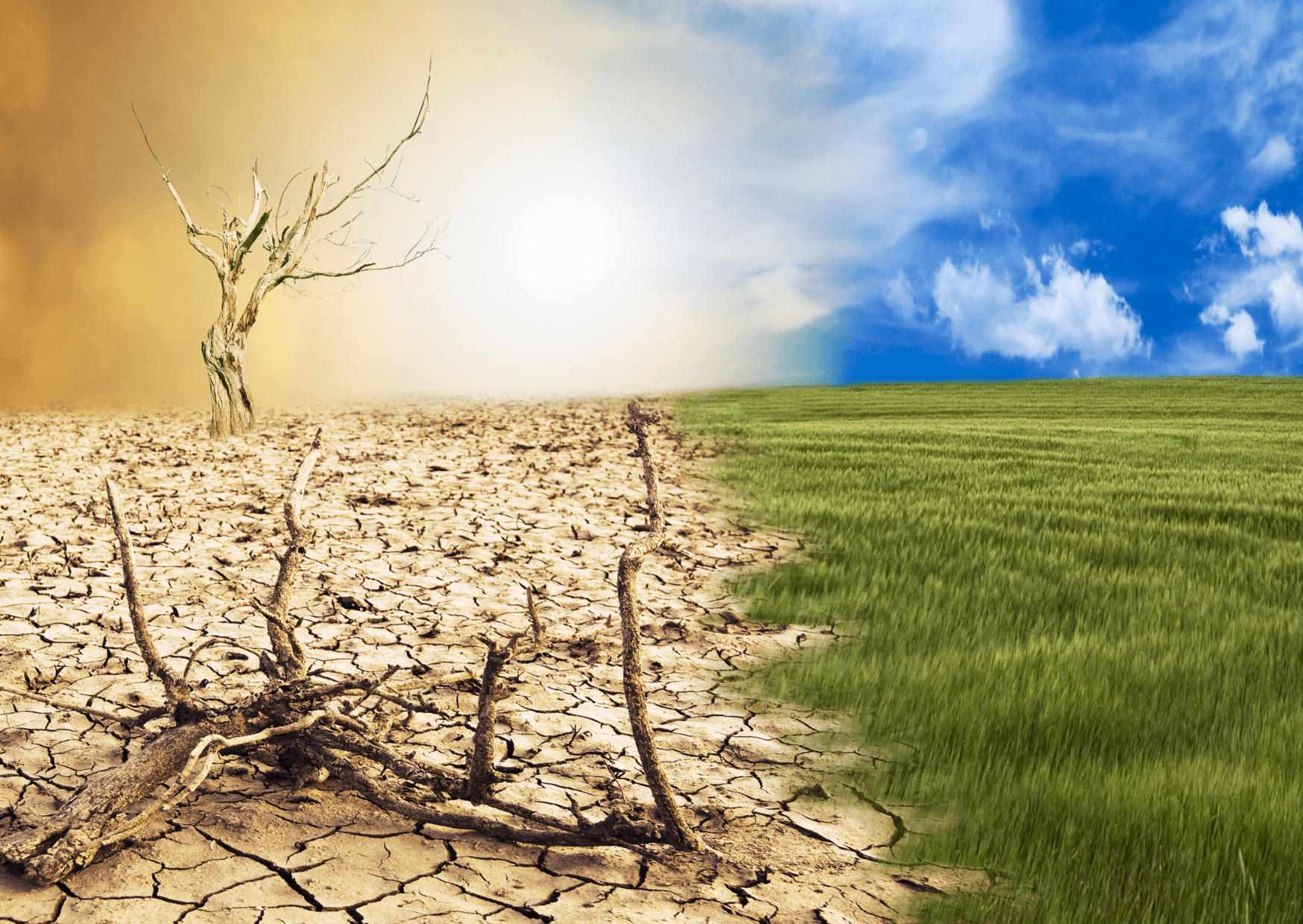 Climate Vulnerability