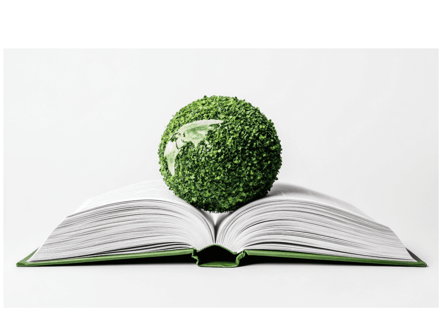 Climate Resilience Education & Awareness