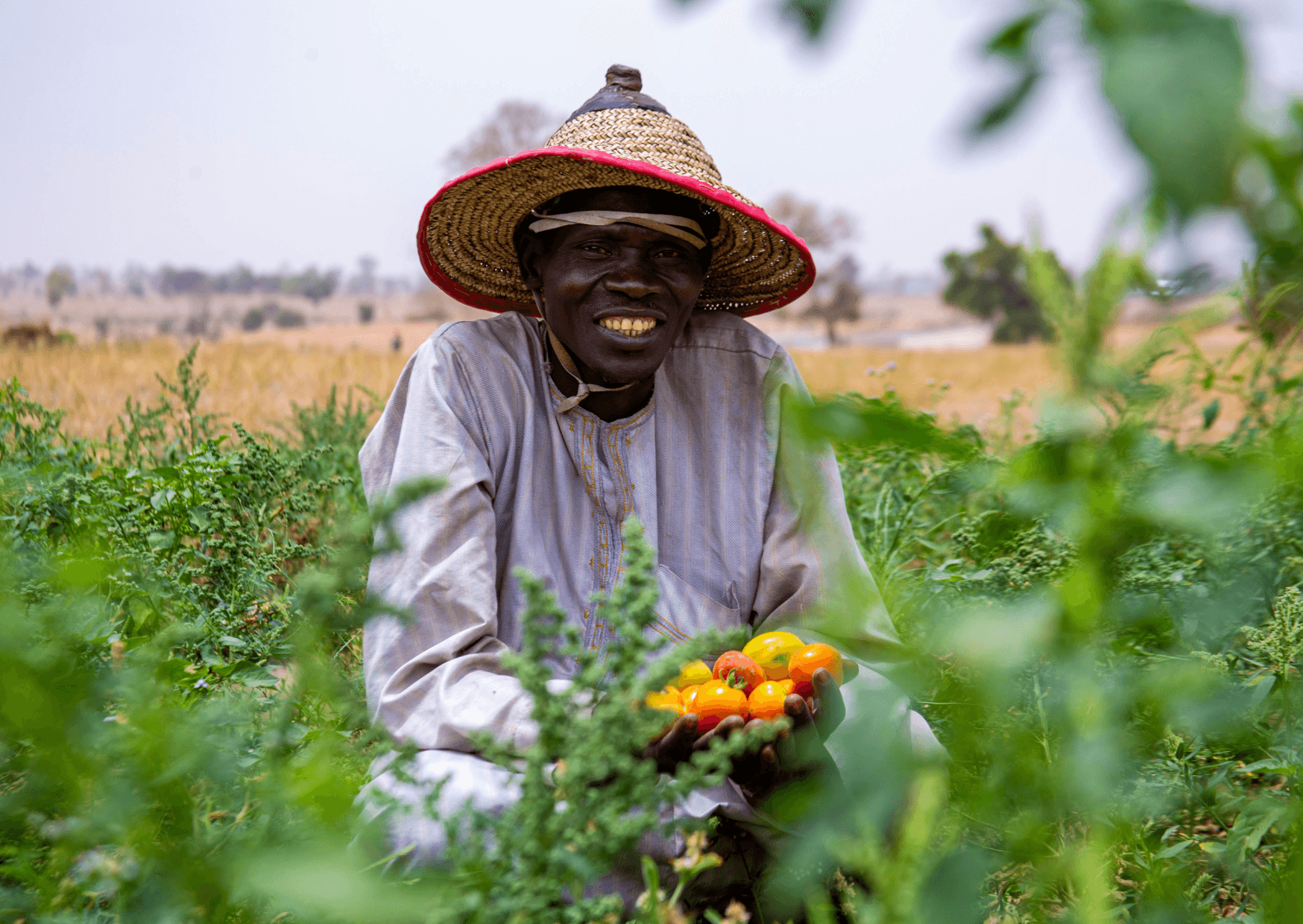 Climate-Smart Agriculture